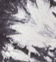 Print - Grey/Ivory