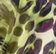 Animal - Green