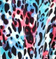 Animal - Royal/Red