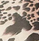 Animal - Taupe