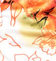 Floral - Orange/White