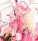 Floral - Pink/White