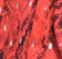 Foil Print - Red