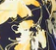 Print - Navy/Yellow